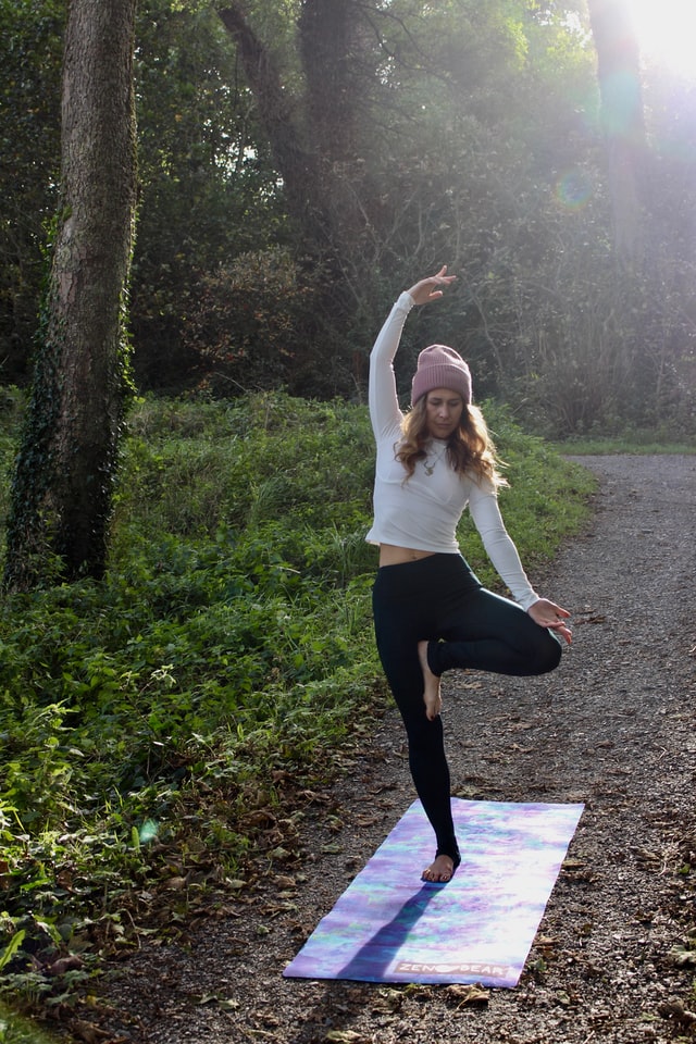zen bear yoga Rt8 5q0V8C0 unsplash