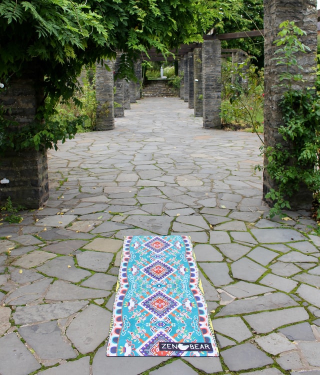 zen bear yoga n6LuArNIPj4 unsplash