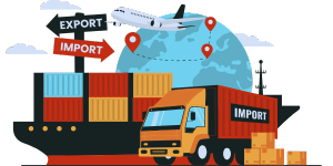 Import Export Code